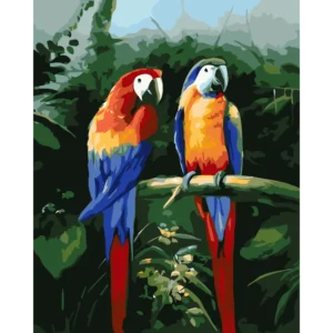 Peinture par numéros Duo de Perroquets